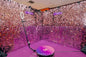 360 Cam Photobooth